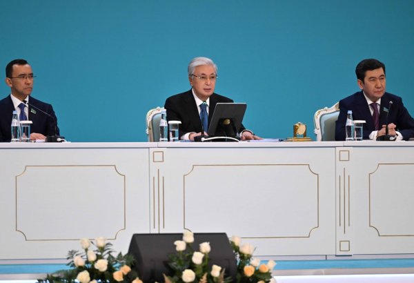 Kazakhstan attracts key investments in agro-industrial sector - President Tokayev