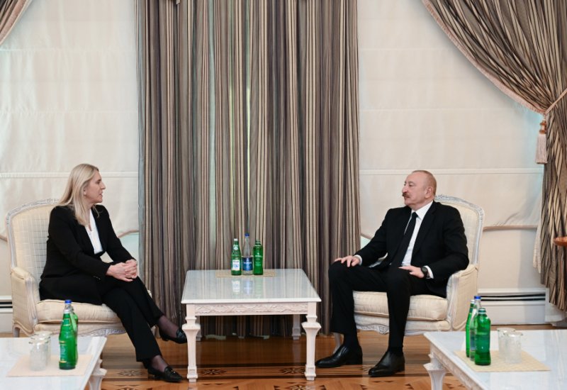 President Ilham Aliyev meets with Member of Presidency of Bosnia and Herzegovina (PHOTO)
