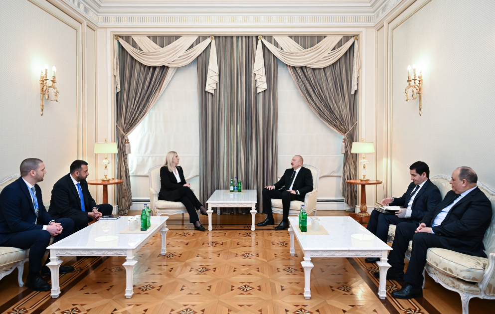 President Ilham Aliyev meets with Member of Presidency of Bosnia and Herzegovina (PHOTO/VIDEO)