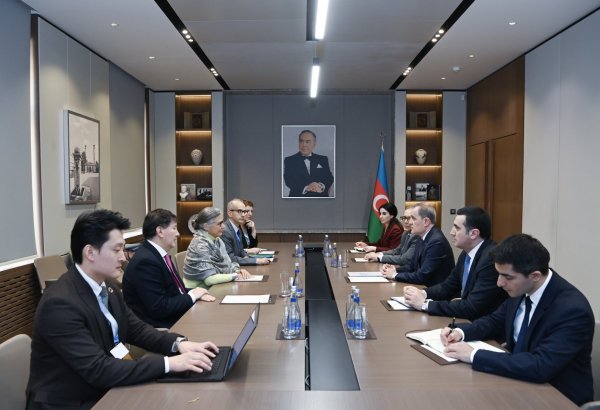Azerbaijan and UN-Habitat discuss preparations for 13th World Urban Forum (PHOTO)