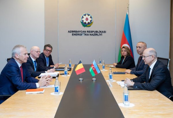 Azerbaijan evaluates green energy cooperation with Belgian company