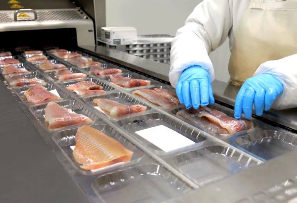 Kazakhstan sets ambitious goal to boost processed agricultural share