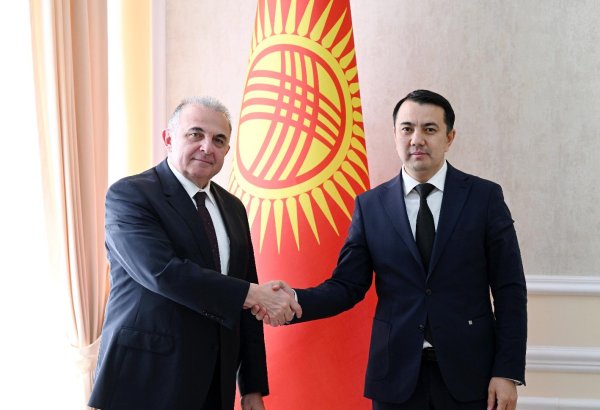Kyrgyzstan, Türkiye take step forward in interparliamentary cooperation