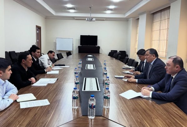 Kazakhstan, Turkmenistan discuss cooperation in chemical industry