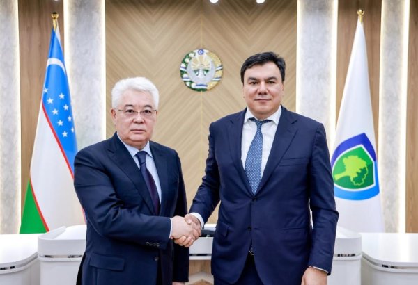 Kazakhstan and Uzbekistan discuss green initiatives for sustainable region