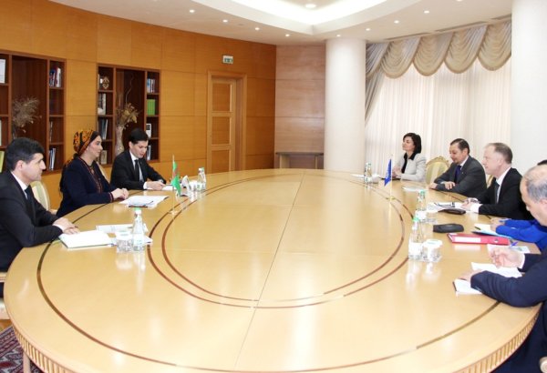 Turkmenistan and ILO discuss strengthening co-op and future initiatives