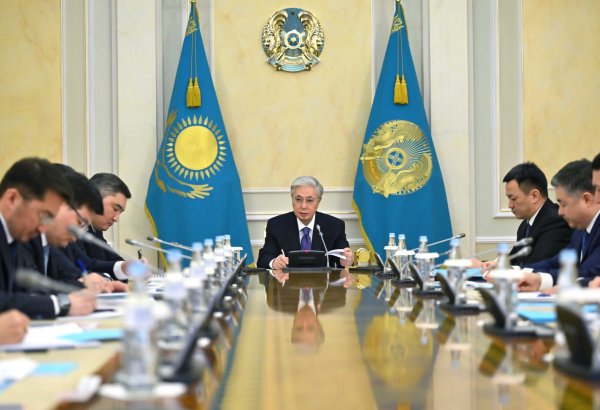 Kazakhstan's president orders acceleration of state digitalization