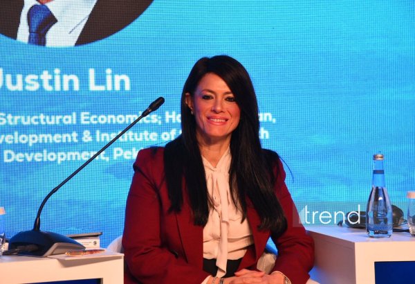 Former Egyptian Minister calls for stronger cooperation among global banks