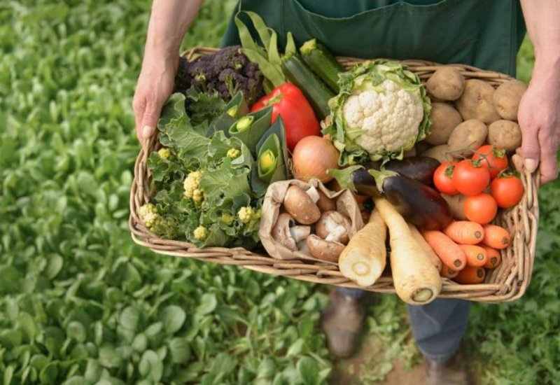 Iran sheds light on volume of agricultural exports from Markazi Province