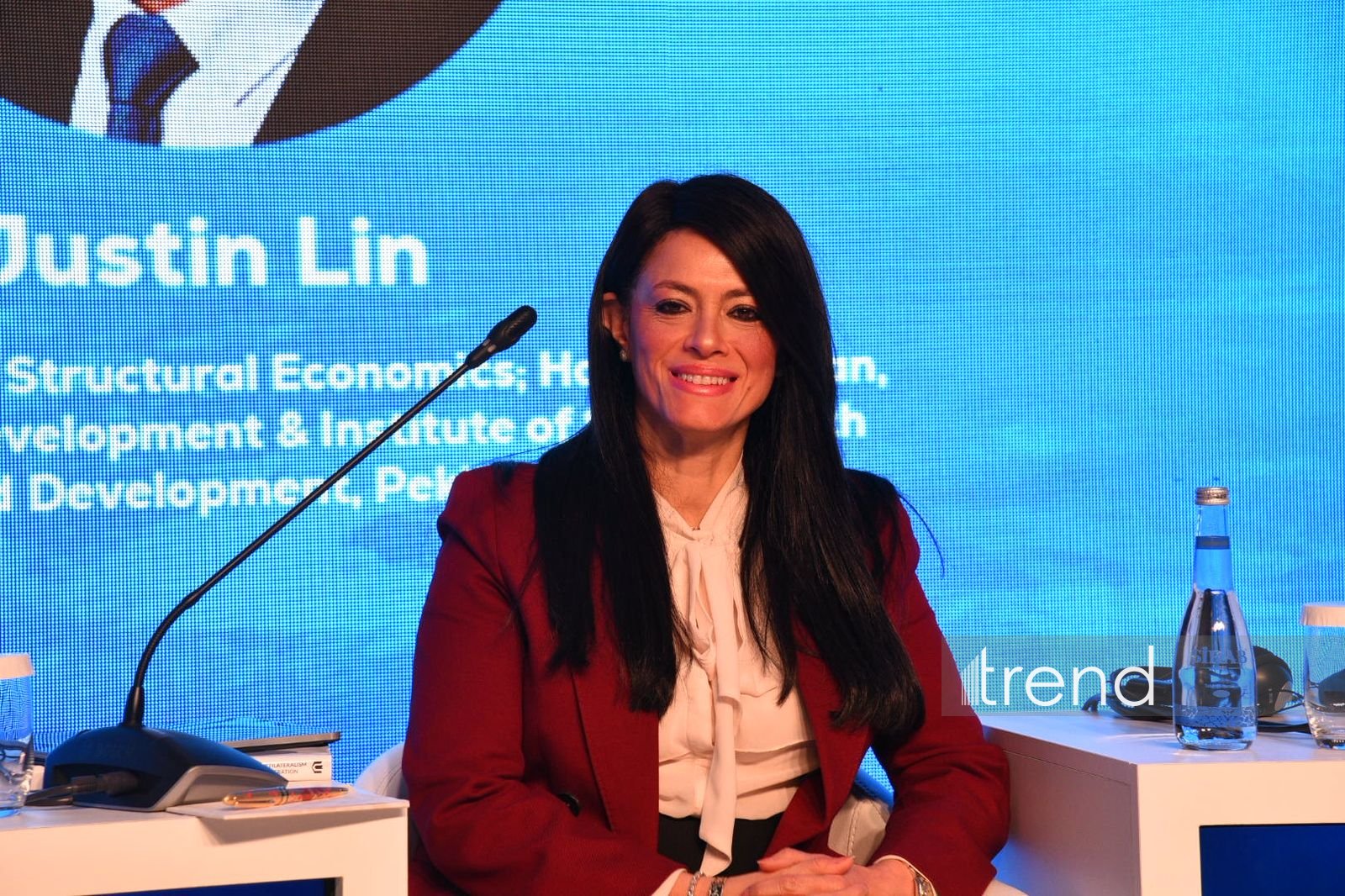 Former Egyptian Minister calls for stronger cooperation among global banks