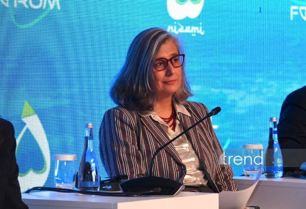 Global progress on Sustainable Development Goals lags behind - UN-Habitat Chief