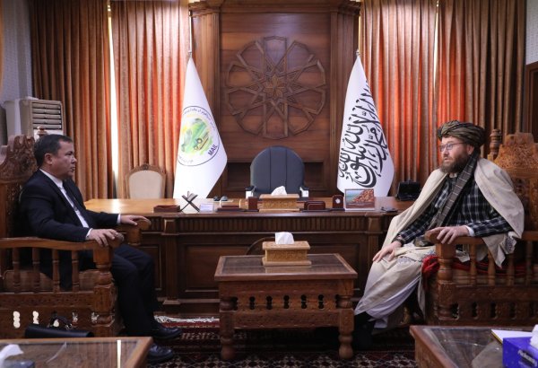 Turkmenistan, Afghanistan work to expedite land acquisition for TAPI Pipeline