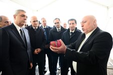 Azerbaijani officials inspect horticultural farm in nation's Khojavend district (PHOTO)