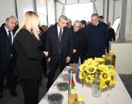 Azerbaijani Coordination Headquarters visits Khojavend's sunflower oil factory (PHOTO)