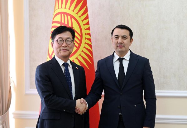 Kyrgyzstan and South Korea explore ways to deepen bilateral ties