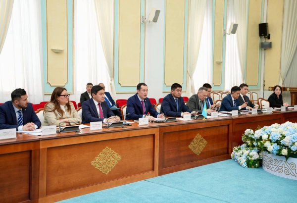 Kazakhstan, EU discuss regional energy cooperation