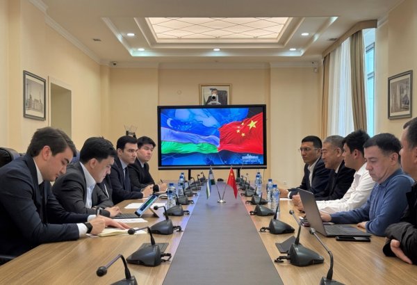 Uzbekistan, China’s Hainan Xintanbo move toward new investment projects in Andijan