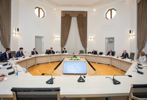 Azerbaijani minister discusses renewable energy projects with Chinese firm