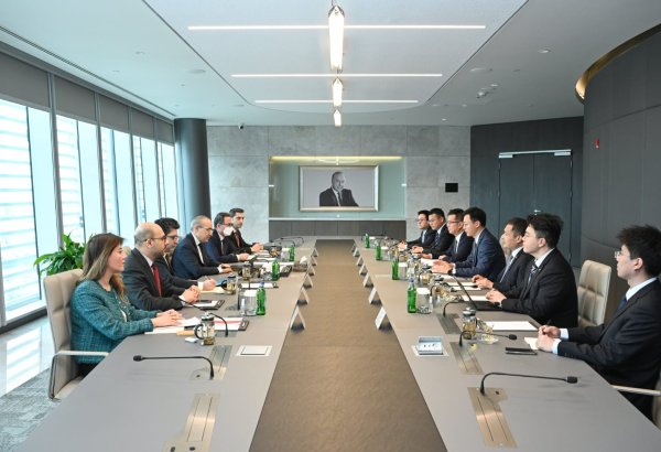 Azerbaijan, Chinese company discuss new solar power plant project