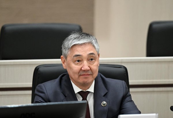 Kyrgyzstan appoints new head of National Bank