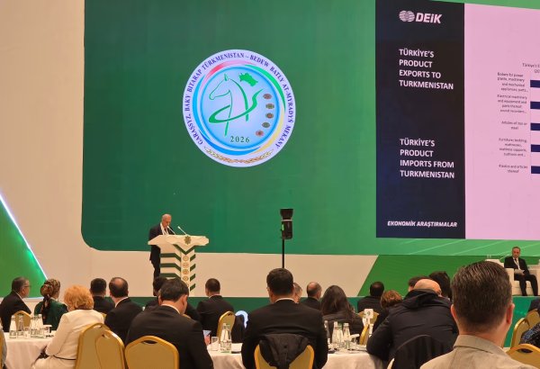 Turkish companies target $5B trade turnover with Turkmenistan - Business Council Chairman