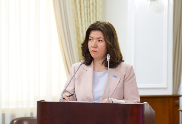 Kazakhstan's new constitution opens path for systemic education reform – minister
