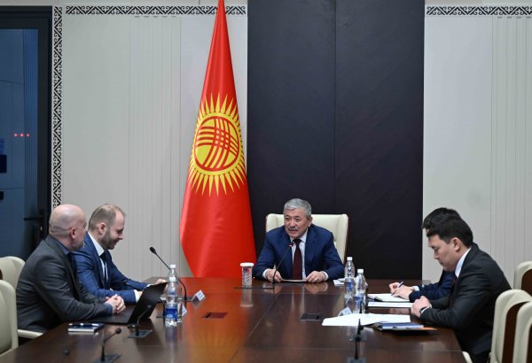 Kyrgyzstan, Boston Consulting Group discuss future areas of cooperation