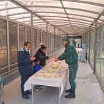 Azerbaijan unveils new details on evacuation efforts from Iran (PHOTO)