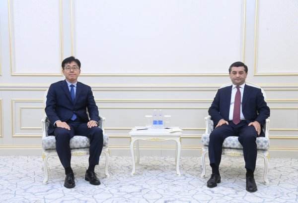 Uzbekistan, South Korea discuss upcoming cooperation plans
