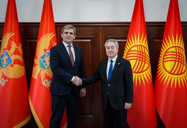 Kyrgyzstan, Montenegro discuss prospects for cooperation in hydropower and green economy