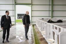 President Ilham Aliyev attends opening of “Shirvan Agro” livestock complex in Shamakhi (PHOTO)