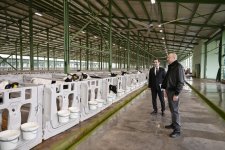 President Ilham Aliyev attends opening of “Shirvan Agro” livestock complex in Shamakhi (PHOTO)