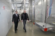 President Ilham Aliyev attends opening of “Shirvan Agro” livestock complex in Shamakhi (PHOTO)