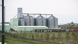 President Ilham Aliyev attends opening of “Shirvan Agro” livestock complex in Shamakhi (PHOTO)