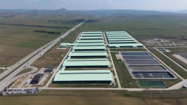 President Ilham Aliyev attends opening of “Shirvan Agro” livestock complex in Shamakhi (PHOTO)