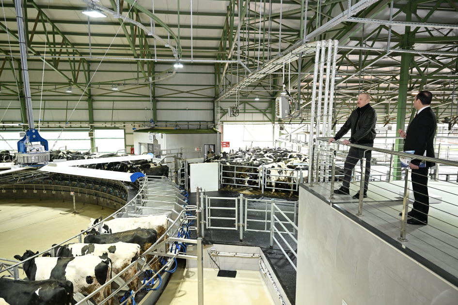 President Ilham Aliyev attends opening of “Shirvan Agro” livestock complex in Shamakhi (PHOTO)