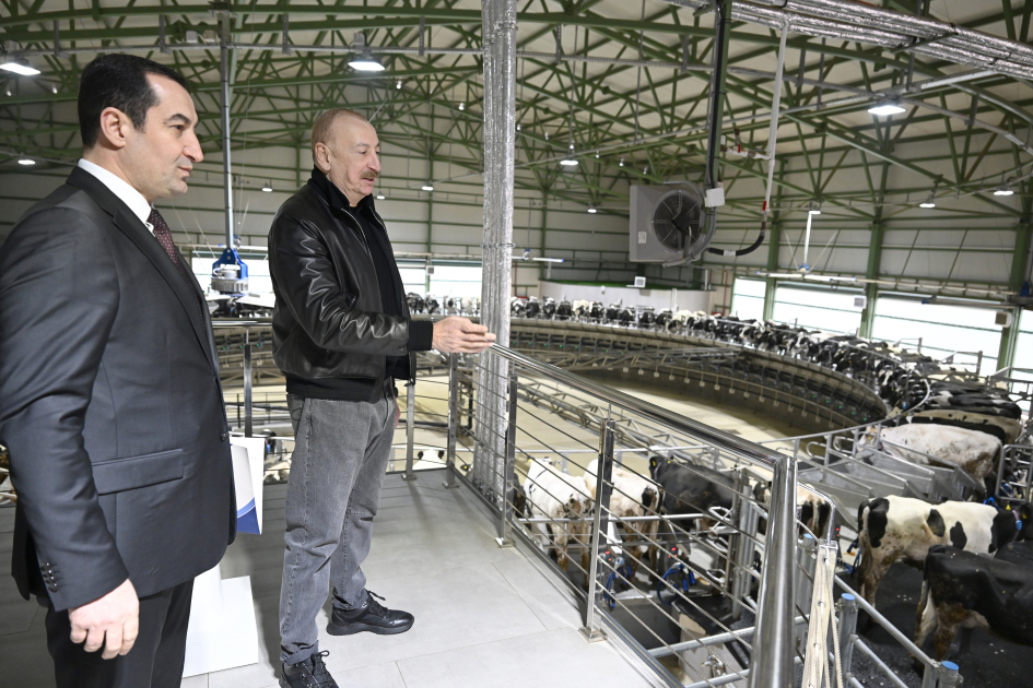 President Ilham Aliyev attends opening of “Shirvan Agro” livestock complex in Shamakhi (PHOTO)