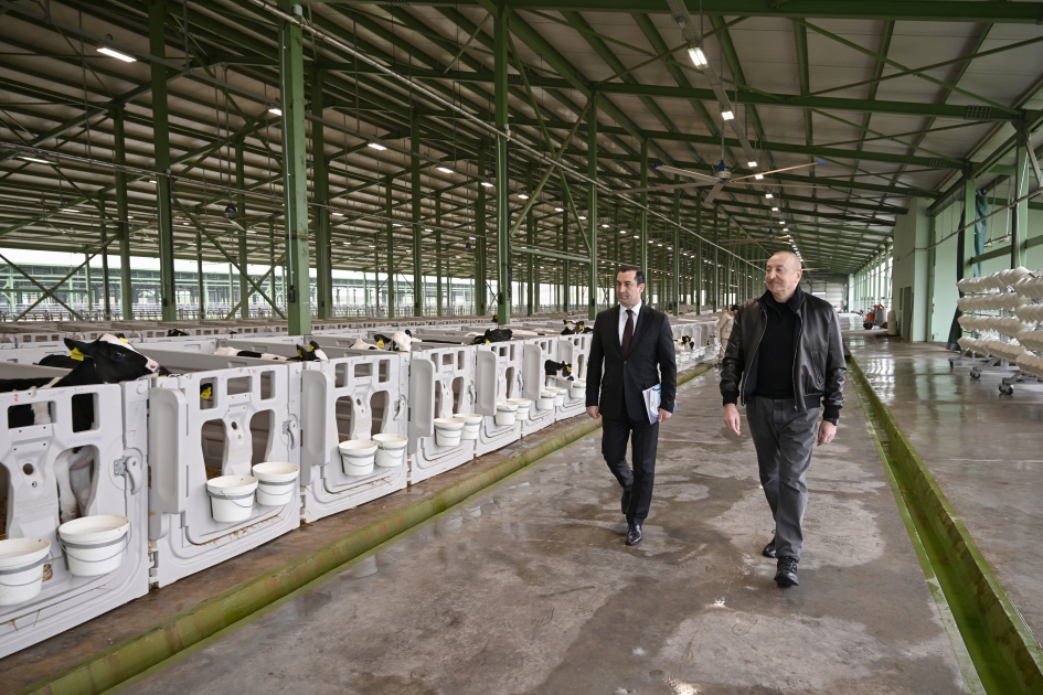 President Ilham Aliyev attends opening of “Shirvan Agro” livestock complex in Shamakhi (PHOTO)