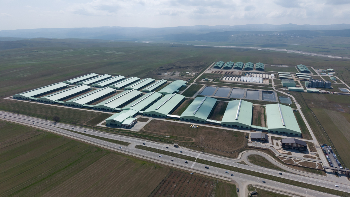 President Ilham Aliyev attends opening of “Shirvan Agro” livestock complex in Shamakhi (PHOTO)