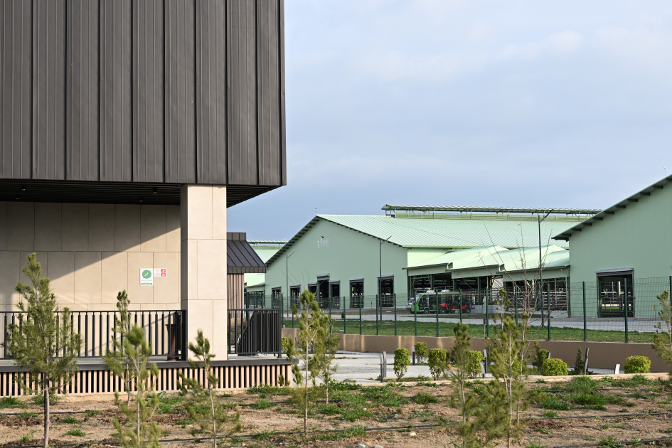 President Ilham Aliyev attends opening of “Shirvan Agro” livestock complex in Shamakhi (PHOTO)