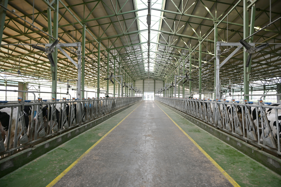 President Ilham Aliyev attends opening of “Shirvan Agro” livestock complex in Shamakhi (PHOTO)