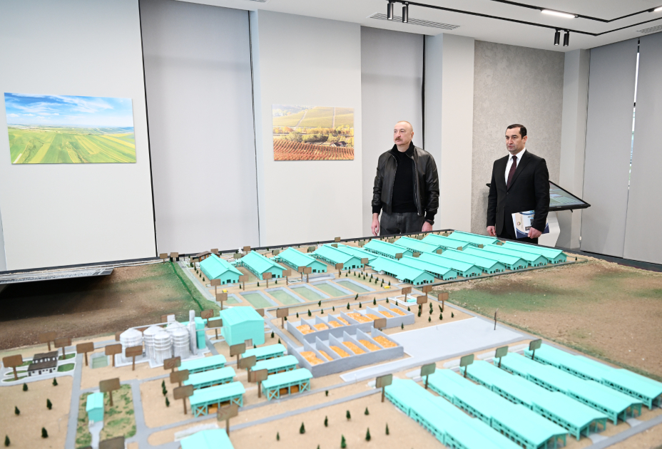 President Ilham Aliyev attends opening of “Shirvan Agro” livestock complex in Shamakhi (PHOTO)