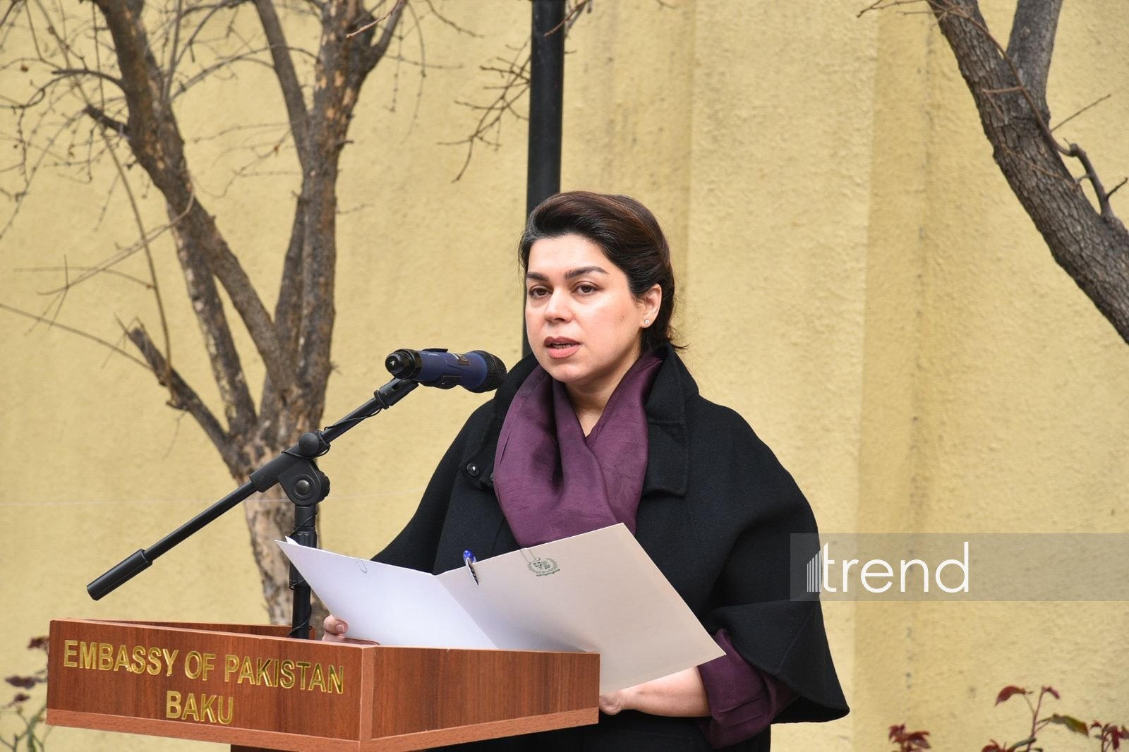 Pakistani Embassy in Azerbaijan marks national day with flag-raising ceremony (PHOTO)