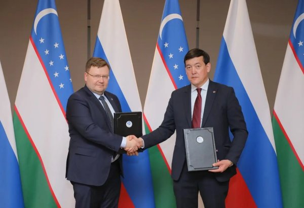 Uzbekistan launches concrete stage of small nuclear power plant