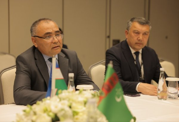 Uzbekistan, Turkmenistan step up joint farm projects