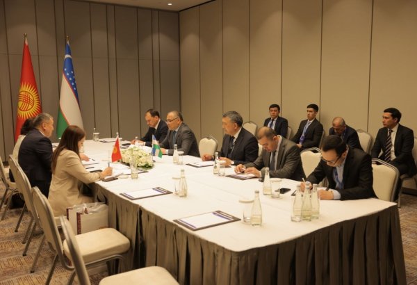 Uzbekistan, Kyrgyzstan agree to develop roadmap for agricultural cooperation