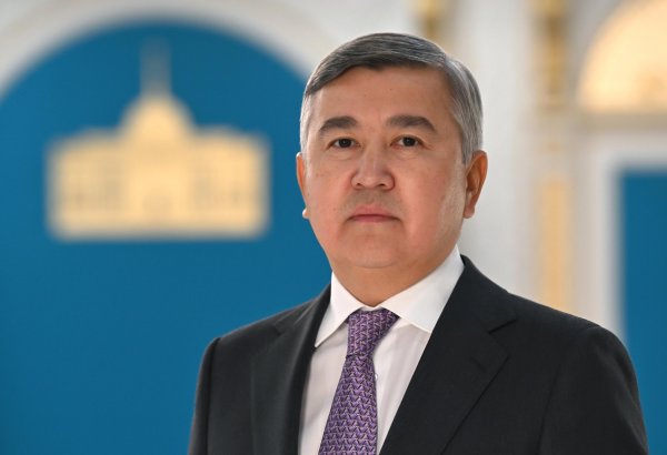 Kazakh president appoints new assistant on economic affairs