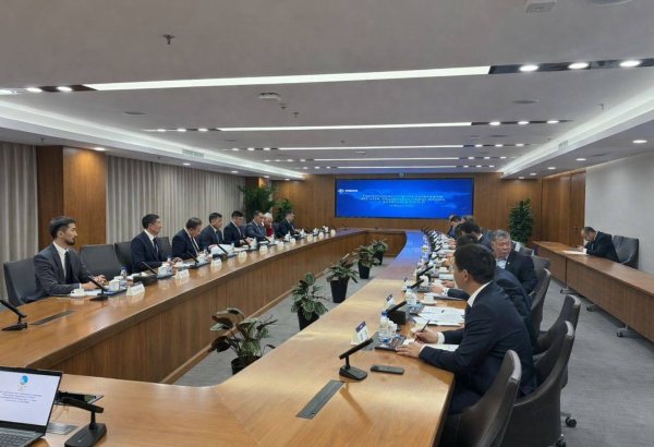 Kazakhstan, China discuss progress on Bakhty-Ayagoz railway project