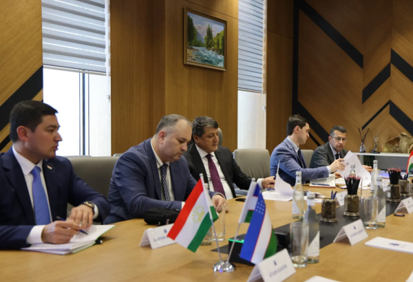 Uzbekistan and Tajikistan dig deeper into mining cooperation