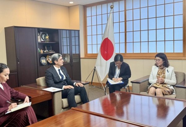 Turkmenistan, Japan discuss expanding cooperation across key sectors